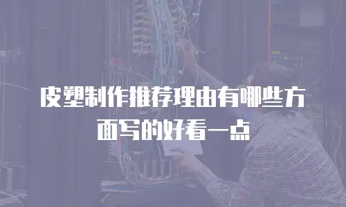 皮塑制作推荐理由有哪些方面写的好看一点