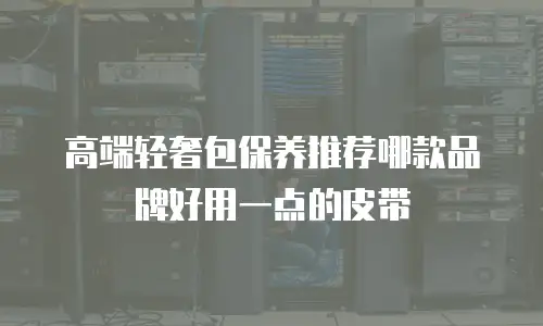 高端轻奢包保养推荐哪款品牌好用一点的皮带