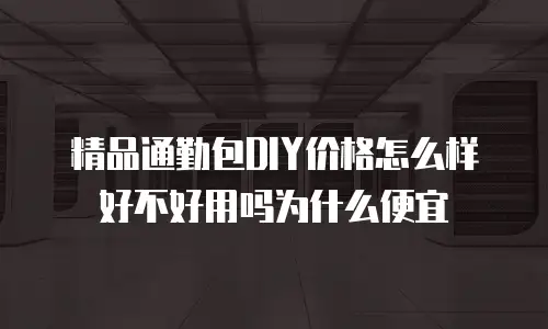 精品通勤包DIY价格怎么样好不好用吗为什么便宜