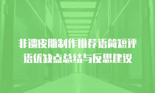 非遗皮雕制作推荐语简短评语优缺点总结与反思建议