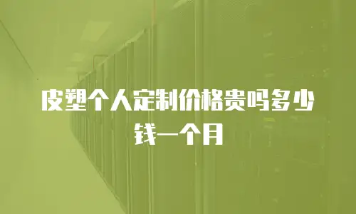 皮塑个人定制价格贵吗多少钱一个月