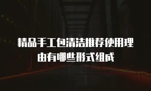 精品手工包清洁推荐使用理由有哪些形式组成
