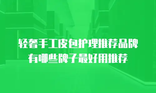 轻奢手工皮包护理推荐品牌有哪些牌子最好用推荐