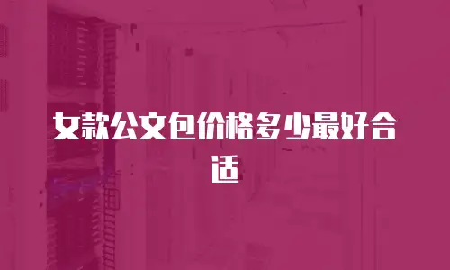 女款公文包价格多少最好合适