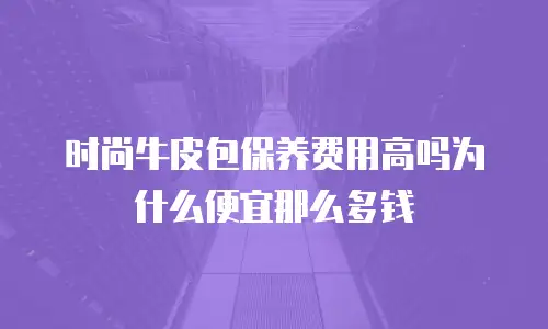 时尚牛皮包保养费用高吗为什么便宜那么多钱
