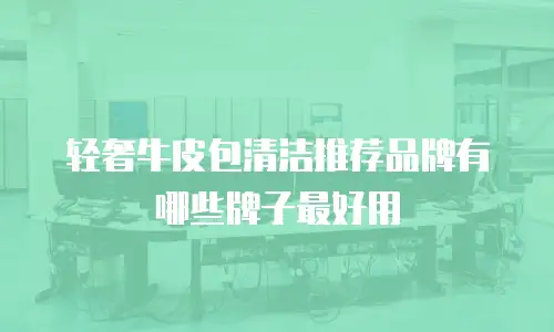 轻奢牛皮包清洁推荐品牌有哪些牌子最好用