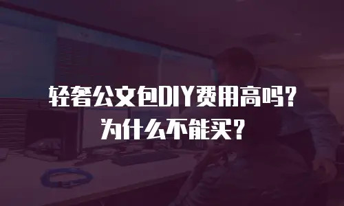 轻奢公文包DIY费用高吗？为什么不能买？