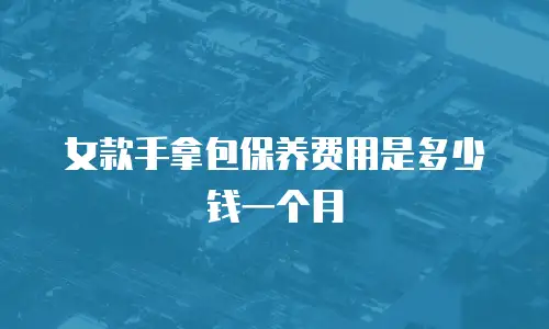 女款手拿包保养费用是多少钱一个月