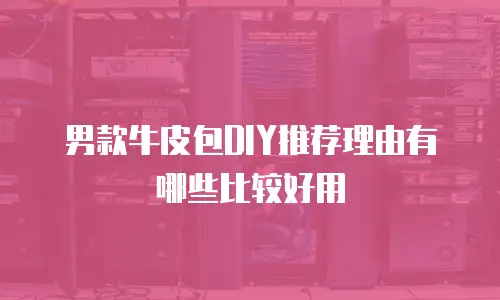 男款牛皮包DIY推荐理由有哪些比较好用