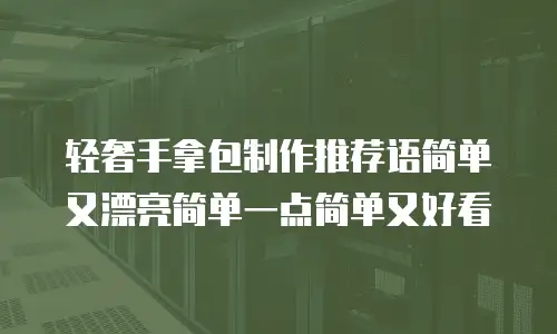 轻奢手拿包制作推荐语简单又漂亮简单一点简单又好看