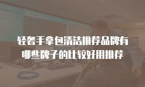 轻奢手拿包清洁推荐品牌有哪些牌子的比较好用推荐