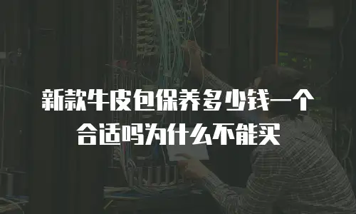 新款牛皮包保养多少钱一个合适吗为什么不能买