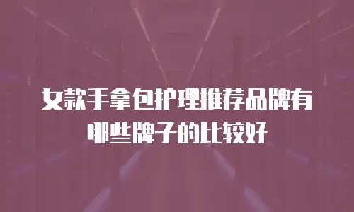 女款手拿包护理推荐品牌有哪些牌子的比较好