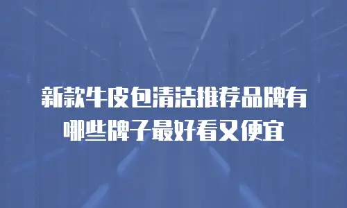新款牛皮包清洁推荐品牌有哪些牌子最好看又便宜