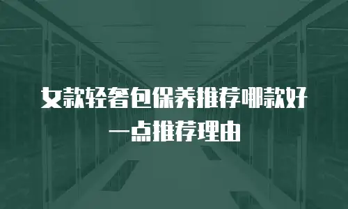 女款轻奢包保养推荐哪款好一点推荐理由