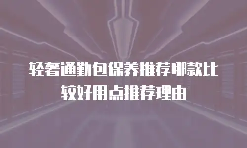 轻奢通勤包保养推荐哪款比较好用点推荐理由