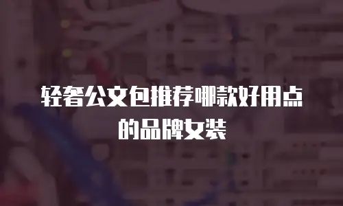 轻奢公文包推荐哪款好用点的品牌女装