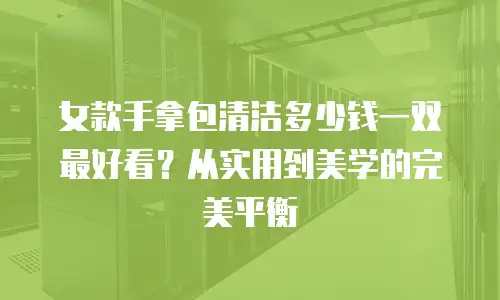 女款手拿包清洁多少钱一双最好看？从实用到美学的完美平衡