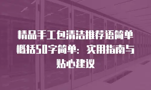 精品手工包清洁推荐语简单概括50字简单：实用指南与贴心建议