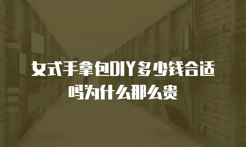 女式手拿包DIY多少钱合适吗为什么那么贵