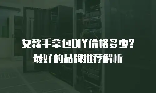 女款手拿包DIY价格多少？最好的品牌推荐解析