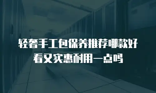 轻奢手工包保养推荐哪款好看又实惠耐用一点吗