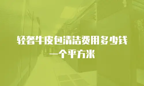 轻奢牛皮包清洁费用多少钱一个平方米