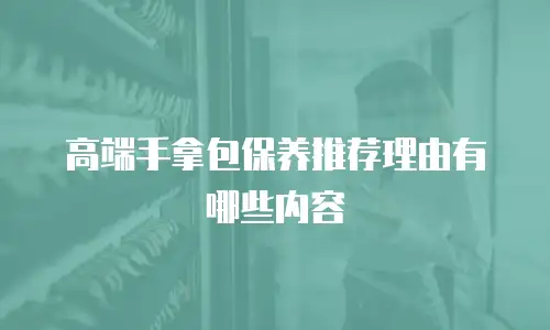 高端手拿包保养推荐理由有哪些内容