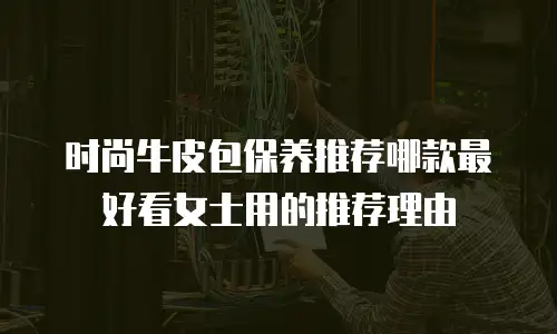 时尚牛皮包保养推荐哪款最好看女士用的推荐理由