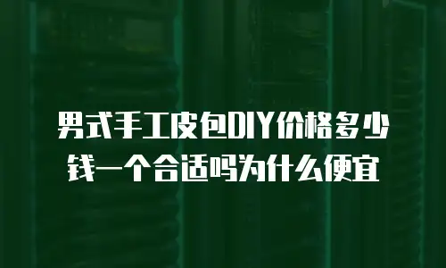 男式手工皮包DIY价格多少钱一个合适吗为什么便宜