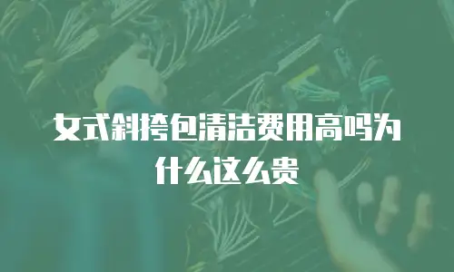 女式斜挎包清洁费用高吗为什么这么贵