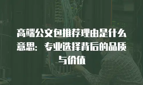 高端公文包推荐理由是什么意思：专业选择背后的品质与价值