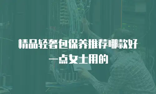精品轻奢包保养推荐哪款好一点女士用的