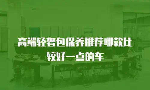 高端轻奢包保养推荐哪款比较好一点的车