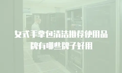 女式手拿包清洁推荐使用品牌有哪些牌子好用