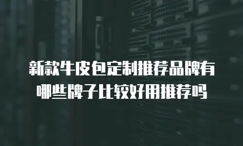 新款牛皮包定制推荐品牌有哪些牌子比较好用推荐吗