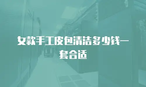 女款手工皮包清洁多少钱一套合适