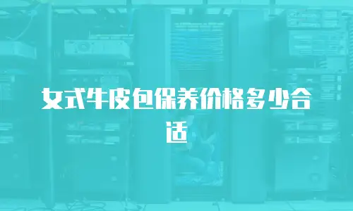 女式牛皮包保养价格多少合适