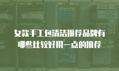 女款手工包清洁推荐品牌有哪些比较好用一点的推荐
