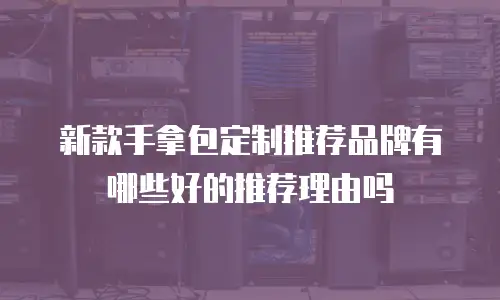 新款手拿包定制推荐品牌有哪些好的推荐理由吗
