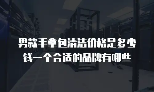 男款手拿包清洁价格是多少钱一个合适的品牌有哪些