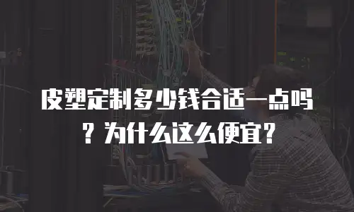 皮塑定制多少钱合适一点吗？为什么这么便宜？