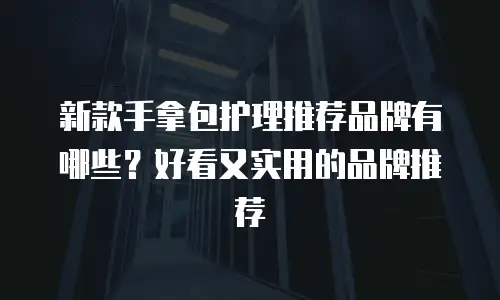 新款手拿包护理推荐品牌有哪些？好看又实用的品牌推荐