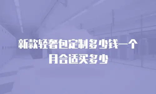 新款轻奢包定制多少钱一个月合适买多少