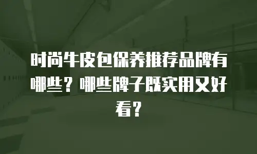 时尚牛皮包保养推荐品牌有哪些？哪些牌子既实用又好看？