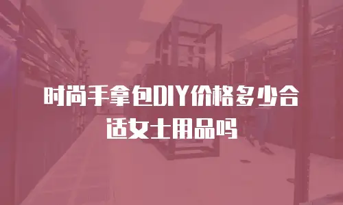 时尚手拿包DIY价格多少合适女士用品吗