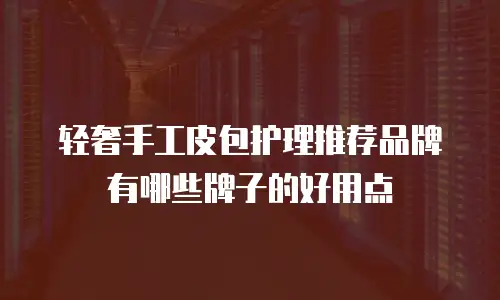 轻奢手工皮包护理推荐品牌有哪些牌子的好用点
