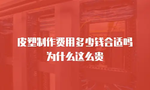 皮塑制作费用多少钱合适吗为什么这么贵