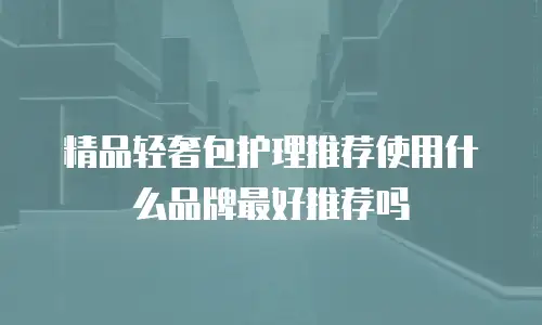 精品轻奢包护理推荐使用什么品牌最好推荐吗