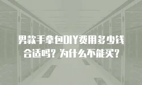 男款手拿包DIY费用多少钱合适吗？为什么不能买？